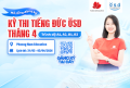 Thông báo tổ chức kỳ thi cấp Chứng chỉ năng lực tiếng Đức ÖSD tháng 04/2026