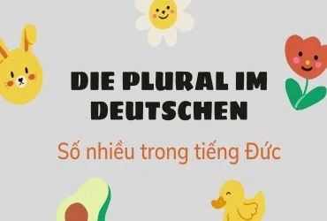 Die Plural im Deutschen - Số nhiều trong tiếng Đức