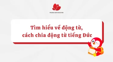 Tìm hiểu về động từ và cách chia động từ tiếng Đức