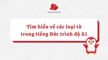 Tìm hiểu về các loại từ trong tiếng Đức trình độ A1