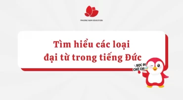 Các loại đại từ trong tiếng Đức