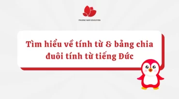 Tìm hiểu về tính từ và bảng chia đuôi tính từ tiếng Đức