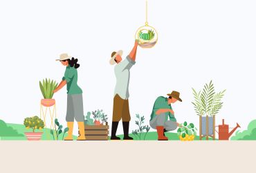 Der Garten - Từ vựng tiếng Đức chủ đề khu vườn