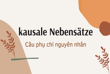 Kausale Nebensätze - Câu phụ chỉ nguyên nhân