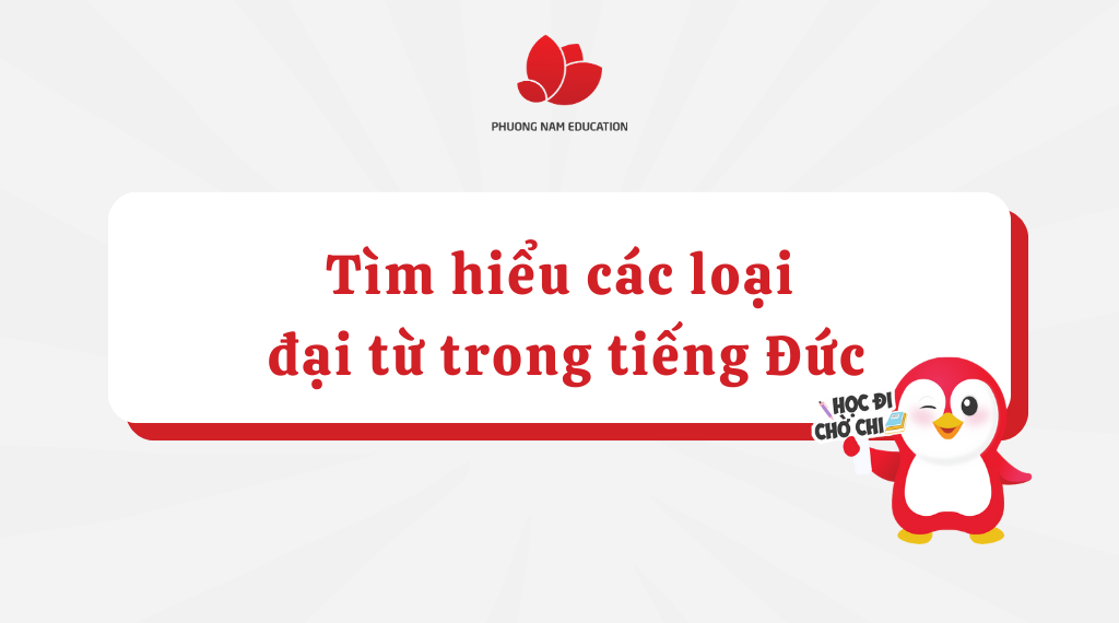 Các loại đại từ trong tiếng Đức